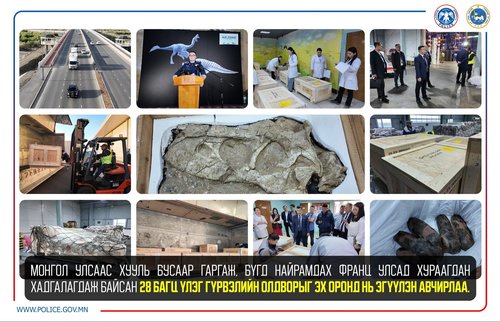 Хууль бусаар Монгол Улсын хилээр давуулсан үлэг гүрвэлийн ясыг 20 жилийн дараа эх оронд нь эгүүлэн авчирлаа